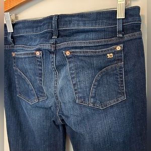 JOEโS JEANS Provocateur Skinny - Size 26